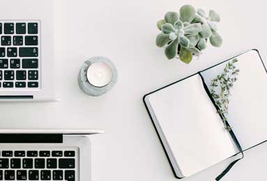 How to Solve White Spots on Snake Plant Leaves: Step-by-Step Fixes