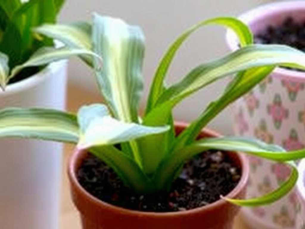 How to Prune Leggy Leaves on Snake Plants to Promote Bushier Growth
